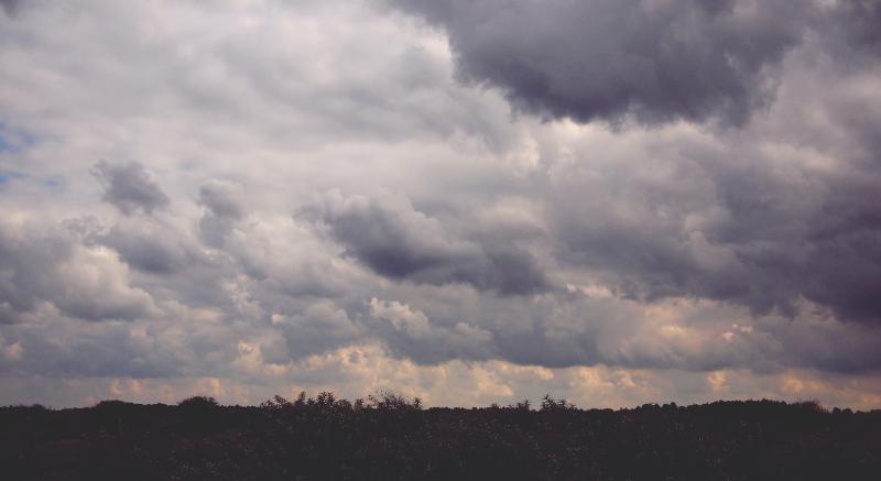 CARLOW WEATHER: A cloudy and showery day expected