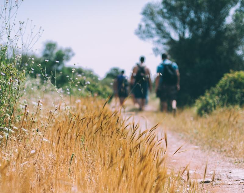 Calling all Carlow hikers! Hike your way to the top of Lugnaquilla in aid of Peter McVerry Trust