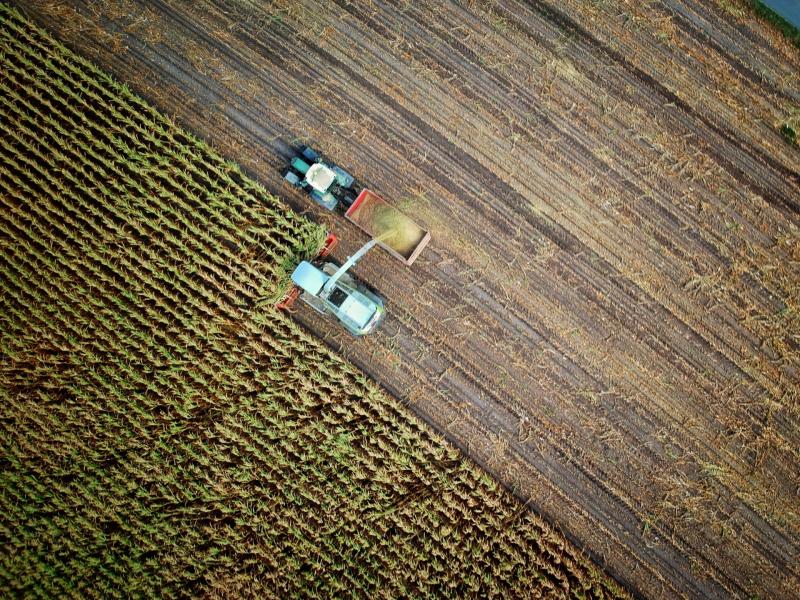 Substantial Basic Payment Scheme Refund announced for farmers in Carlow 