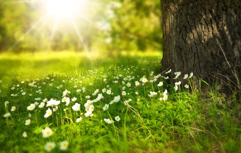 CARLOW WEATHER: Mostly dry and sunny today with temperatures hitting 22 degrees