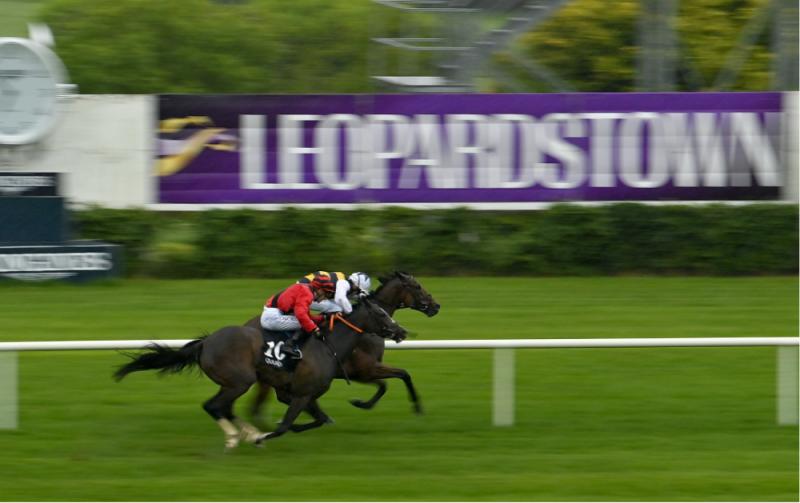 RACING: Your guide to Thursday’s excellent card at Leopardstown