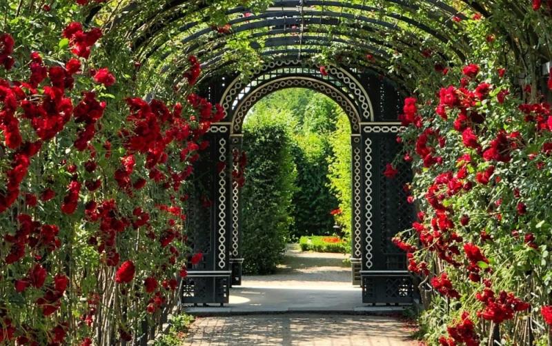Carlow Garden Festival 2022 to take place this week