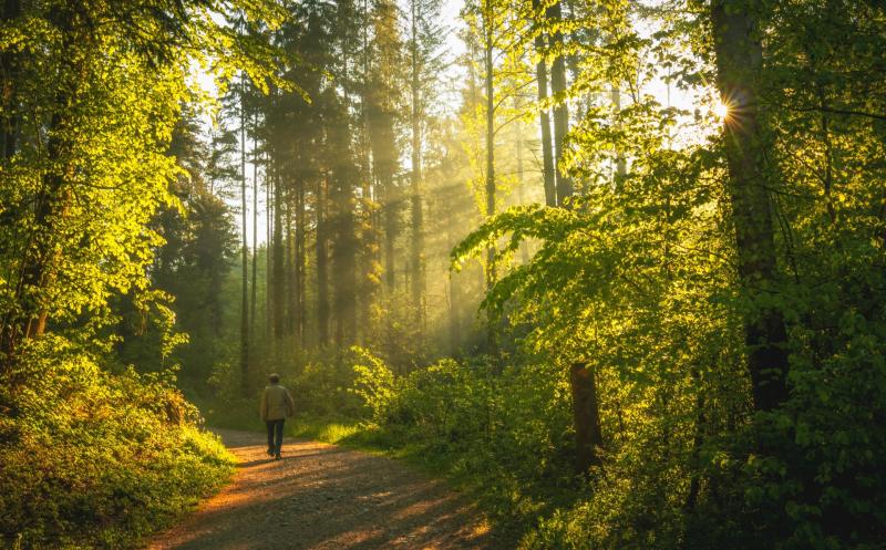 Significant funding to develop outdoor recreation projects in Carlow announced