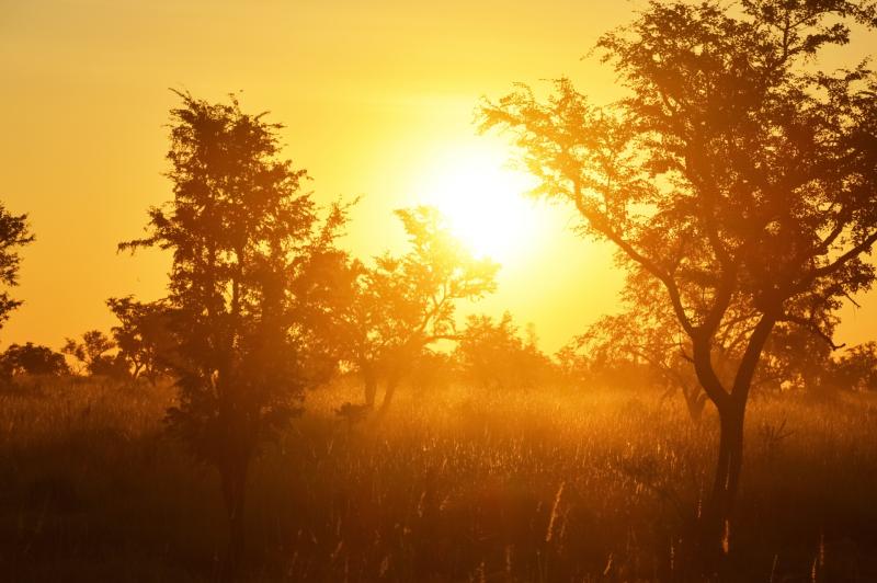 National Parks & Wildlife Service appeal to Carlow public on high fire risk warning 