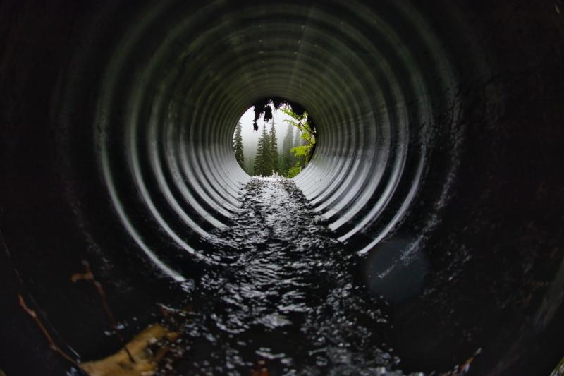 Carlow public warned of risk of Weil’s Disease following  heavy rainfall