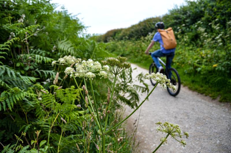 'Have your say' on the new proposed Pedestrian and Cycle Scheme in Carlow