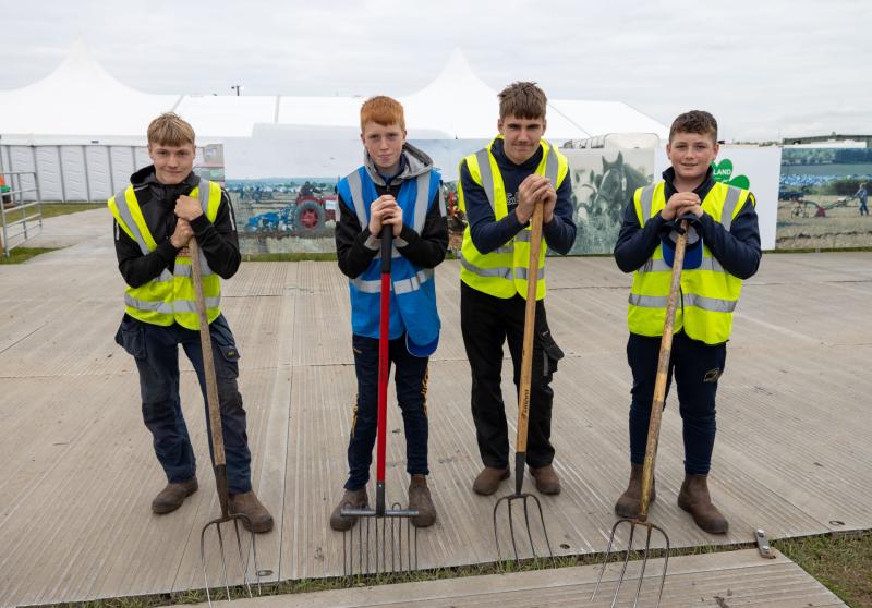 10 things that will help townies blend in at the Ploughing