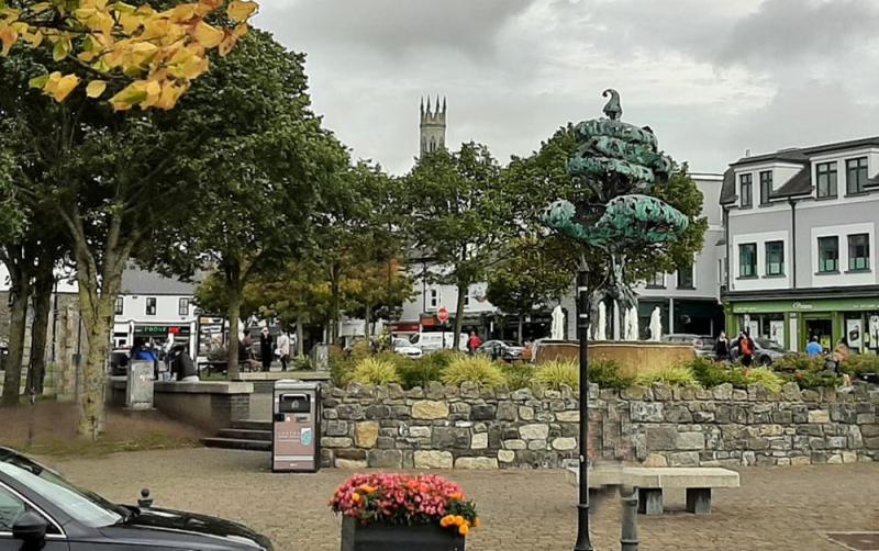 Over 300 community projects in Carlow supported by donations