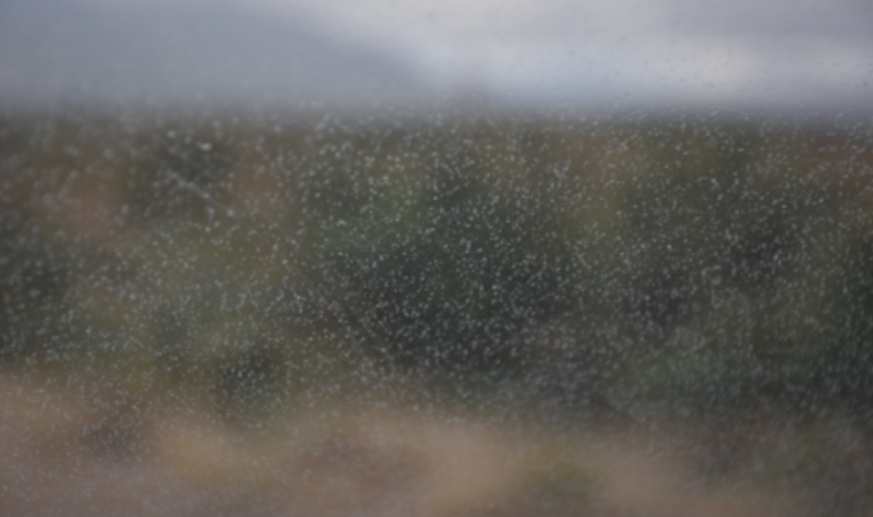 CARLOW WEATHER: Long dry spells with patchy drizzle