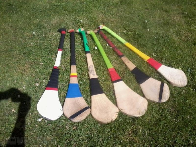 Carlow Camogie link up with county council for 'Ah Camán' initiative