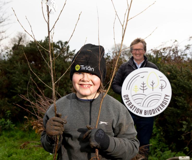 Operation Biodiversity targets planting of trees and hedgerows in Carlow