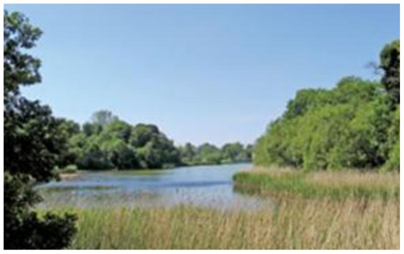 Carlow outdoor recreation projects awarded over €600,000 in funding