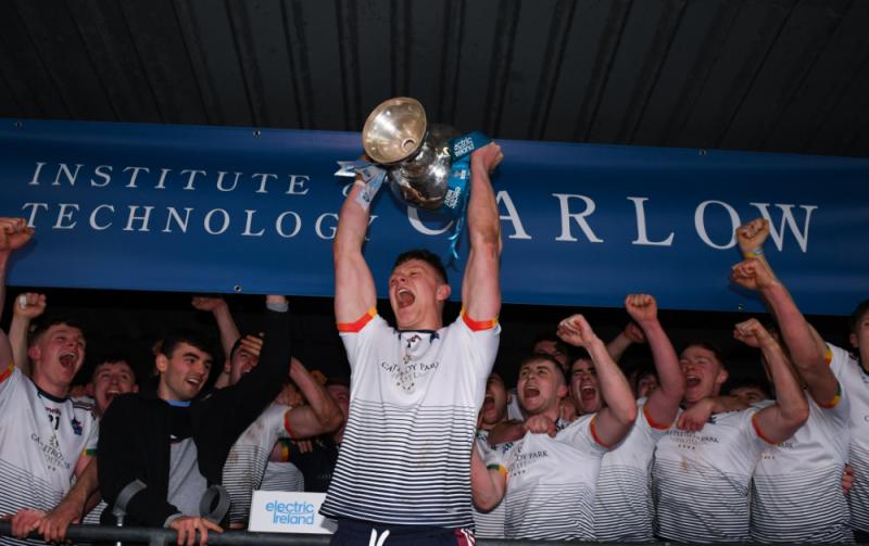 Fitzgibbon Cup: 2023 groups revealed