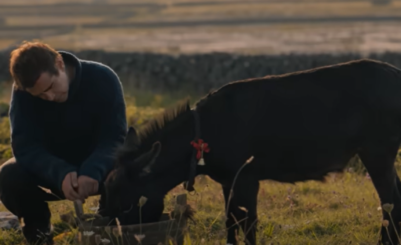 New to the parish - Beloved donkey from award-winning film becomes Carlow resident