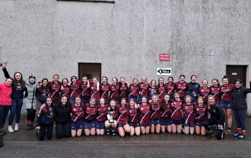 Carlow school crowned Leinster champions
