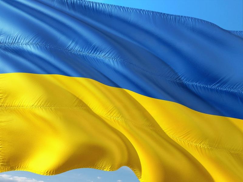 Number of Ukrainian students in Carlow schools confirmed