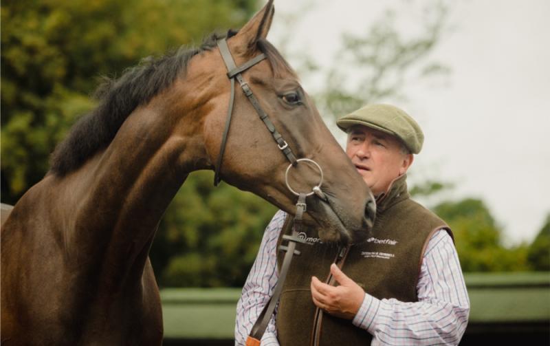 RACING: Paul Nicholls on weekend runners