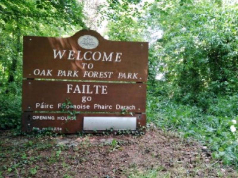 Forest amenity in Carlow to close to allow essential 