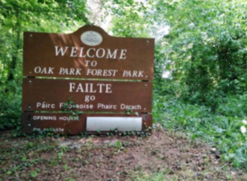 Carlow Oak Park receives huge funding for mini basketball court
