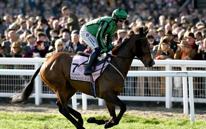 Carlow trainer John 'Shark' Hanlon commits Hewick to Punchestown Gold Cup field