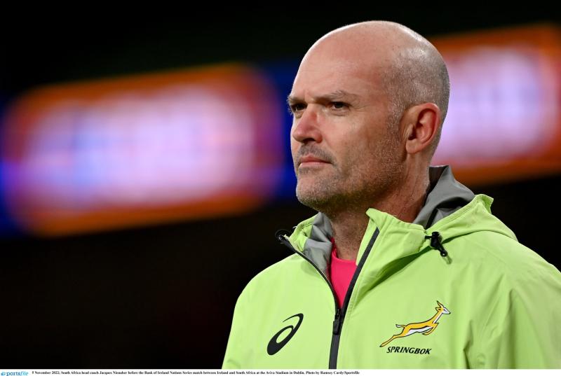 South Africa Head Coach to join Leinster after the Rugby World Cup
