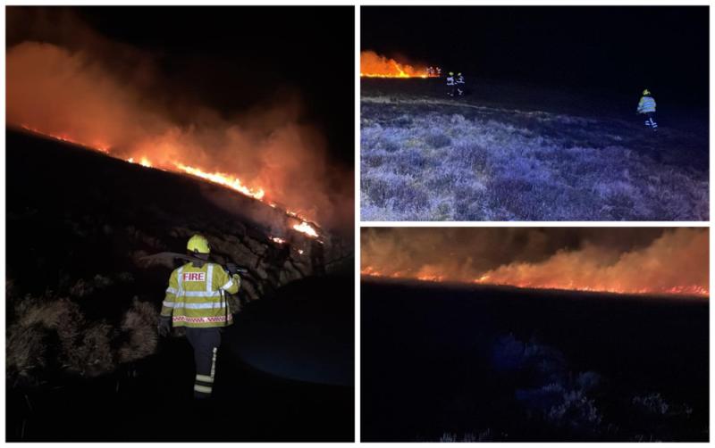 Firefighters contain fires after Carlow forestry plantations set alight