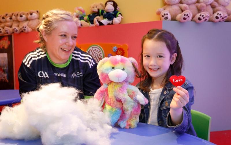 Carlow GAA fans: Make your own furry friend at the GAA Museum's Teidí Tours