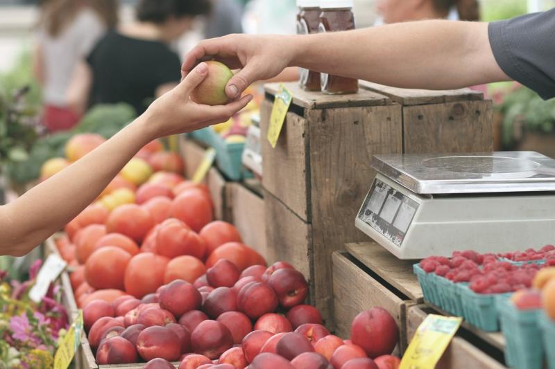 €300k boost for agri-food tourism will 'build on progress' made in sector - McConalogue
