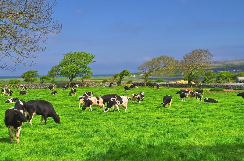 'Future of Farming' conference to take place in Carlow