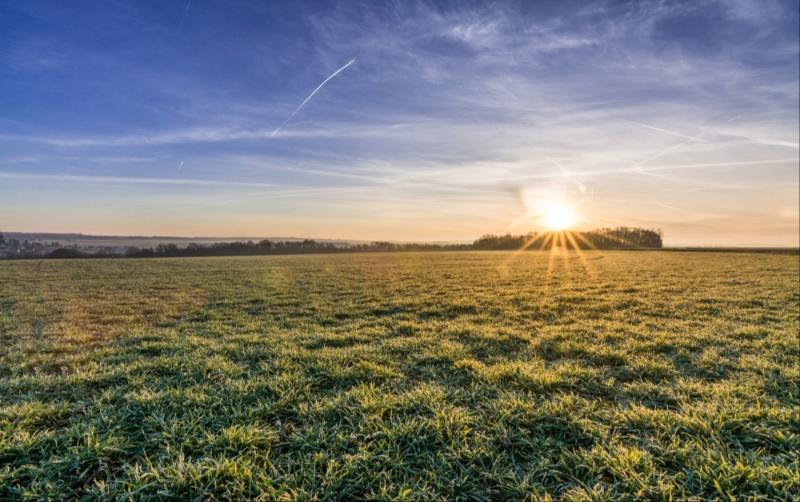 Carlow Weather: Temperatures stay high as the week rolls on with sunny spells
