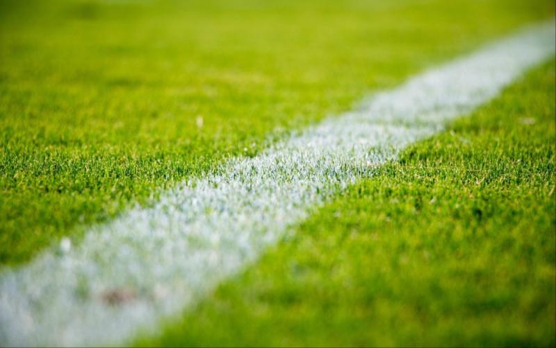 Sport: Carlow team competing in Leinster Ladies GAA Junior Championship semi-final
