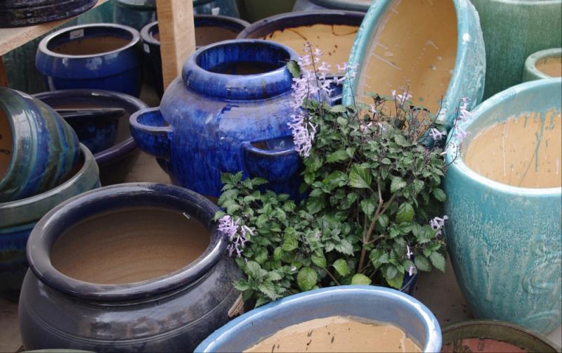 Rathvilly Garden Centre given green light by planning authorities to make changes