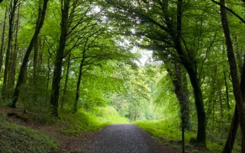 Influencer lists Carlow hiking trail amongst top Autumnal hiking destinations in Ireland
