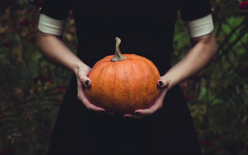 What's On: Family-friendly weekend at Samhain Festival 2023 in VISUAL Carlow