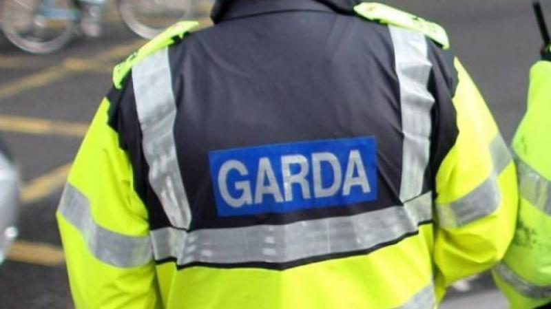 Leaf blower, strimmers and Honda lawnmower amongst items stolen from house in Carlow