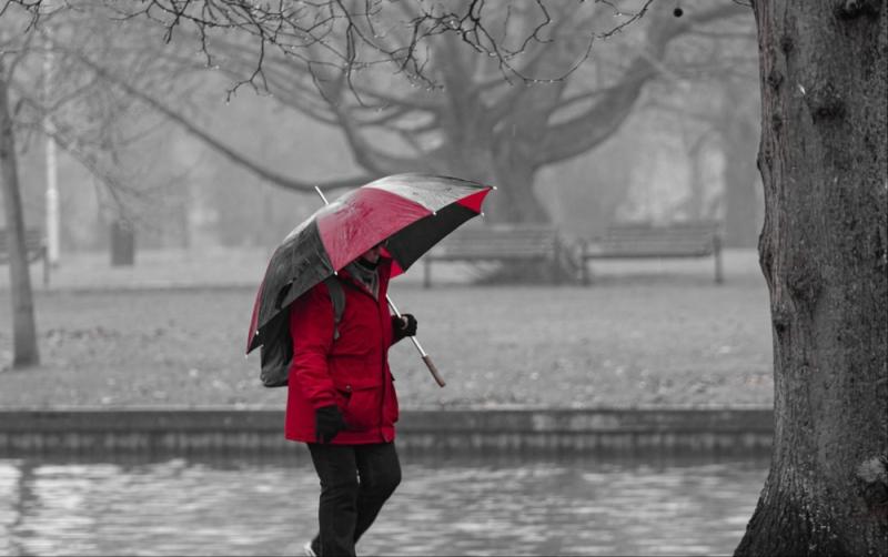 Carlow Weather: Rather wet and windy as a band of rain moves over from the south