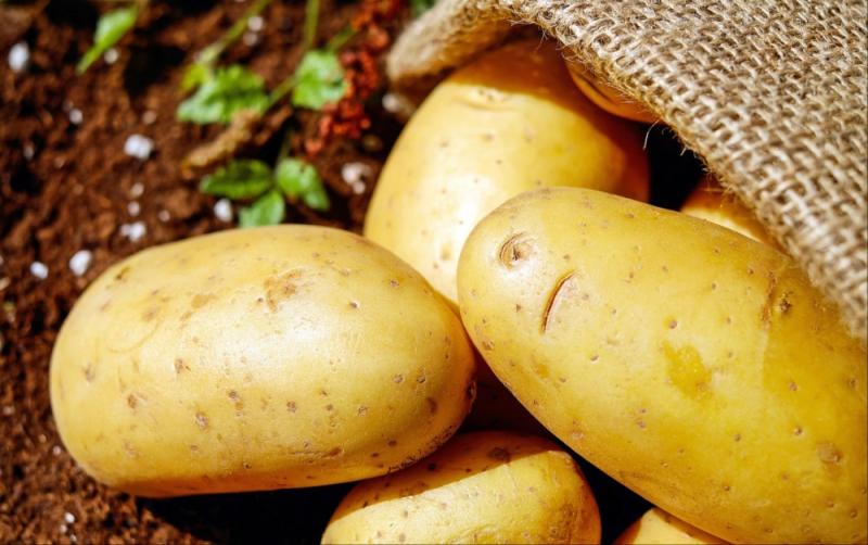 Bag of Rooster potatoes amongst items stolen from house across the Carlow border
