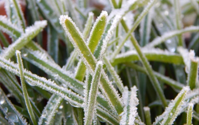 Carlow Weather: Cold and dry as temperatures drop as low as -3C overnight