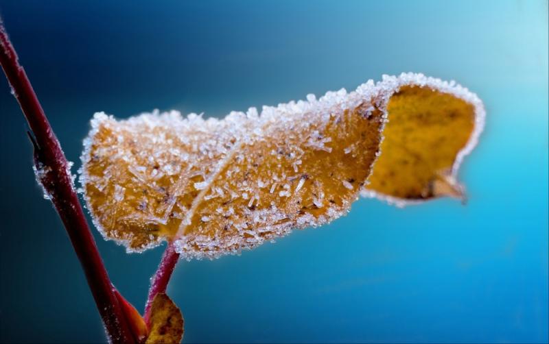 Carlow Weather: Very cold with lows of -3C, widespread frost and icy conditions