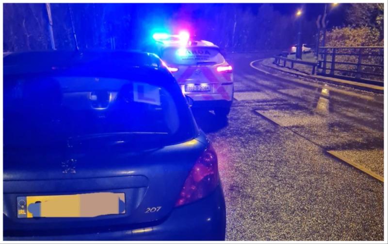 Gardaí halt and seize car of speeding learner driver on busy motorway