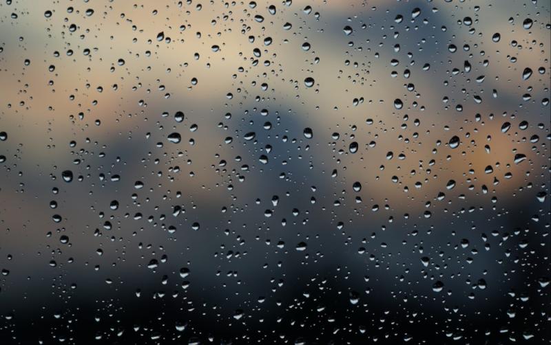 Carlow Weather: Staying unsettled with wet and blustery conditions at times