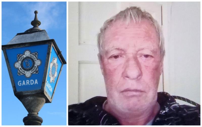 Gardaí concerned for wellbeing of missing man in his 60s