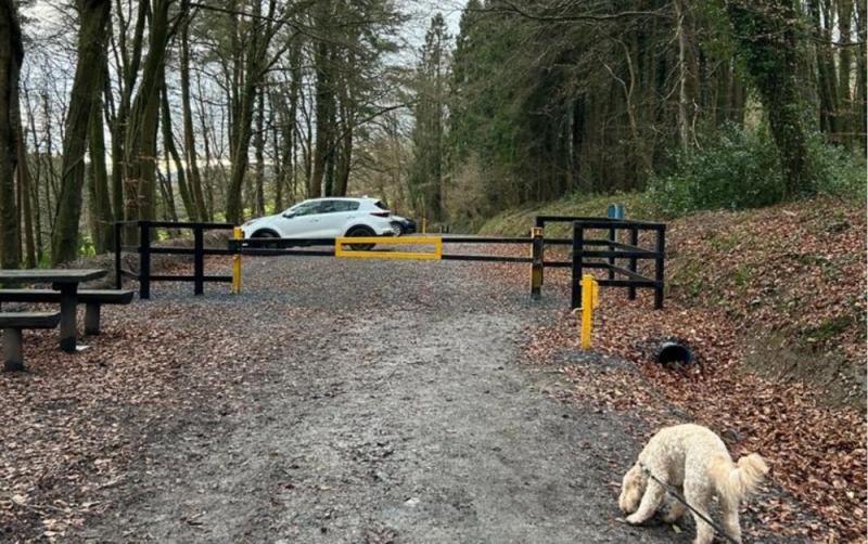New addition to popular hiking trail in Carlow improves safety of visitors