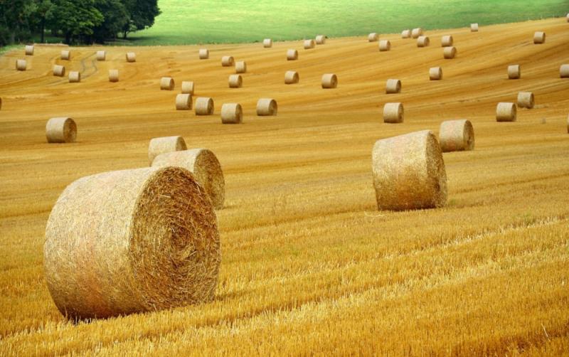 Thirty-three farmers in Carlow benefit from grant aid under the organic farming scheme