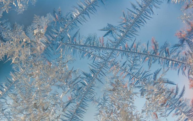 Carlow Weather: Some frost or ice will form overnight with lowest temperatures of -1