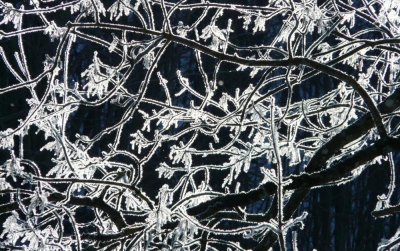 Carlow Weather: Temperatures plummet as low as -3 degrees with frost and fog