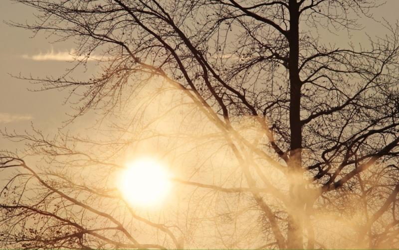 Carlow Weather: Very cold but will remain mostly dry with some crisp winter sunshine 