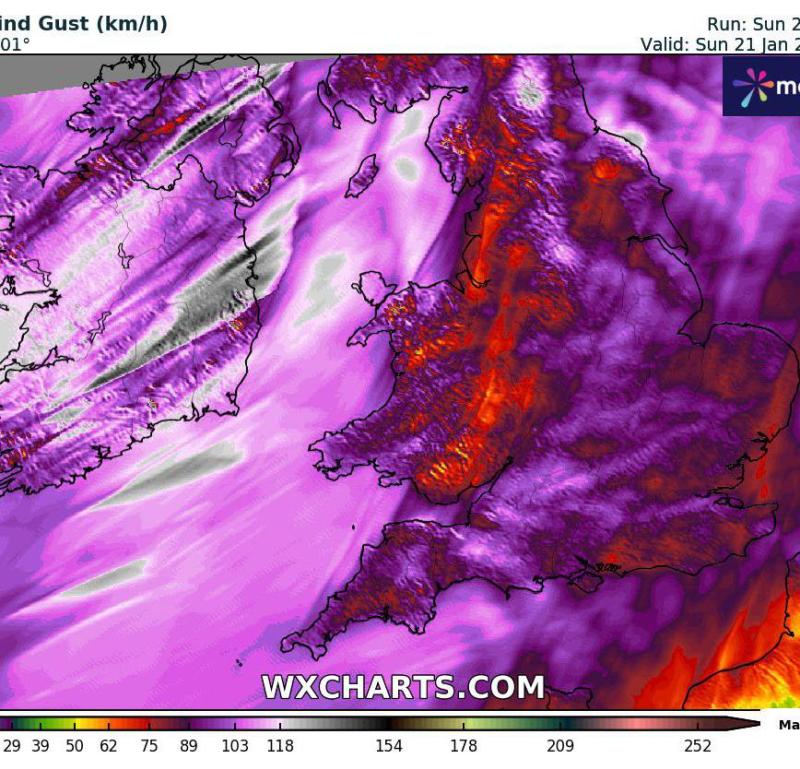 Red wind warning issued for several counties in the west of Ireland as Storm Isha hits 