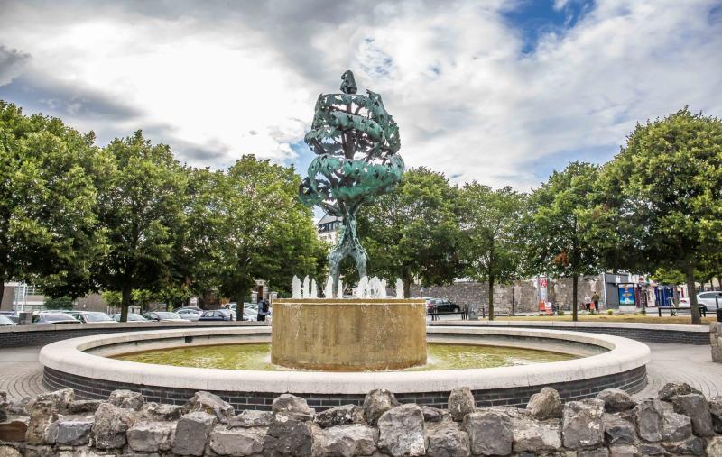 WATCH: TikToker shares retro video of County Carlow in the 70s 