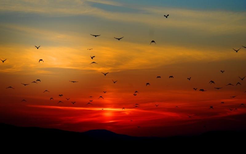 Longer days ahead for Carlow as sunset stretches to 5:30pm and daylight hours extend
